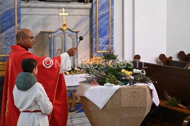 Palmsonntag in Wenzersdorf