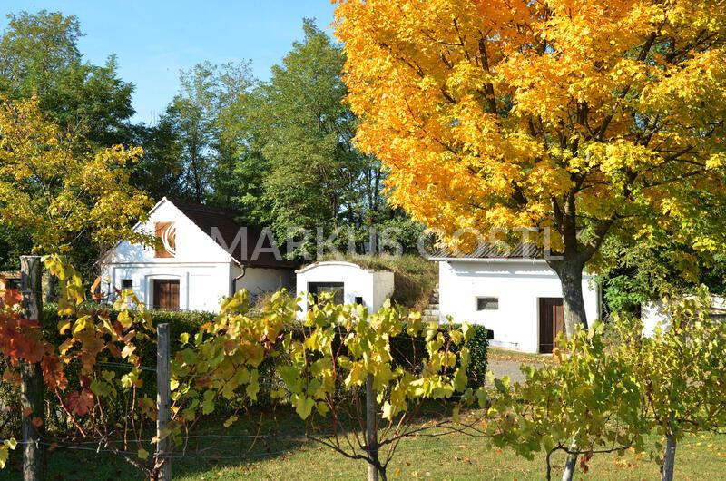 Herbst im Weinviertel