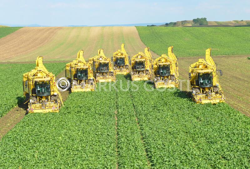 Zuckerrübenernte im Weinviertel
