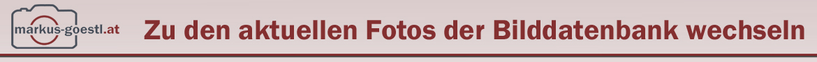 LogoHP2 Kopie