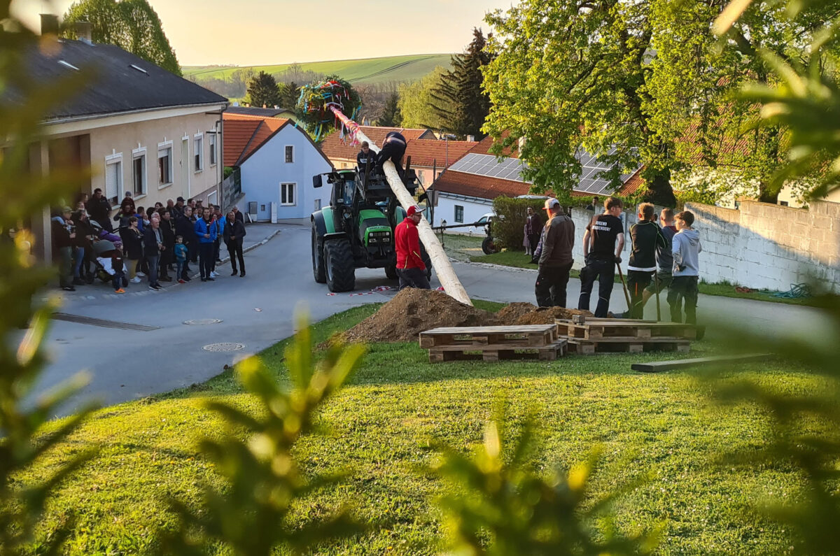 Blog_Maibaum
