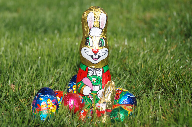 Osterhase1-ID7039