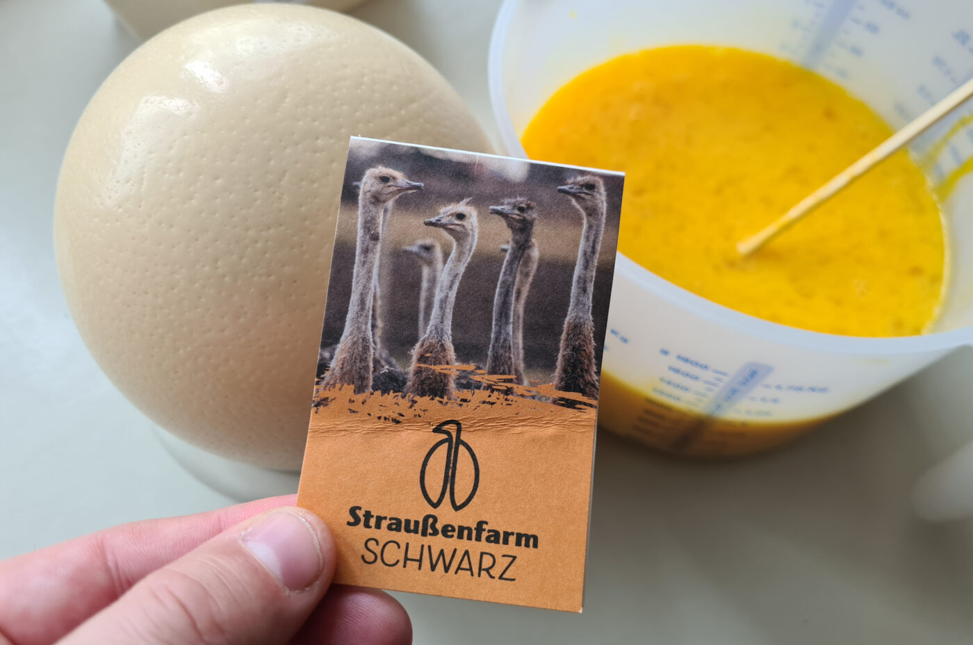 Blog_Straußenei