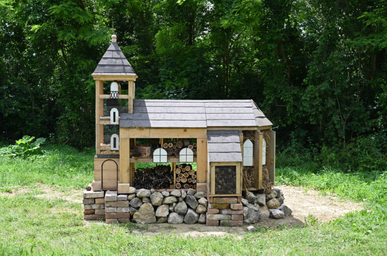 2024-06-23_Insektenhotel_Kirche_Wenzersdorf_Blog