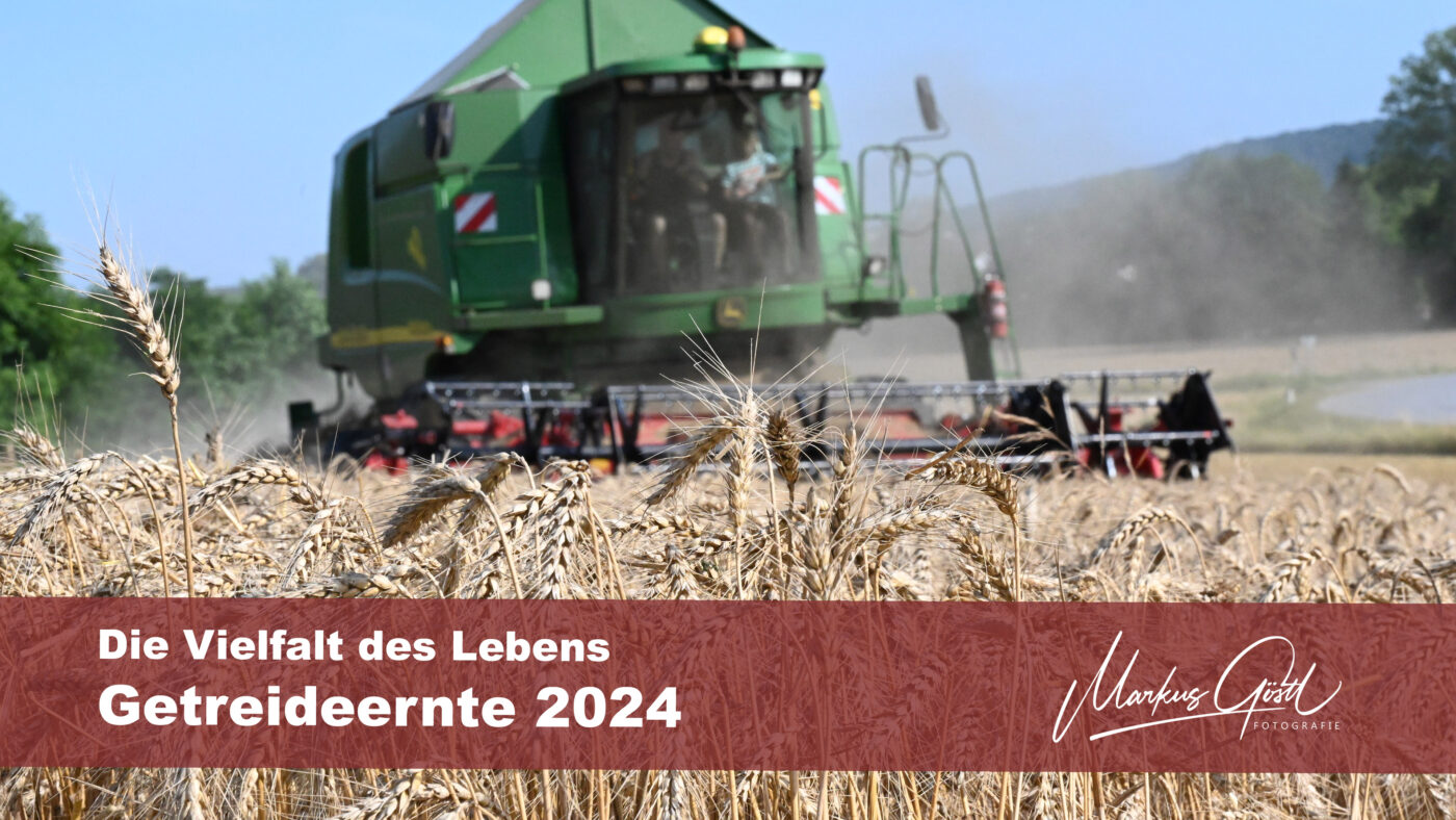 © www.markus-goestl.at