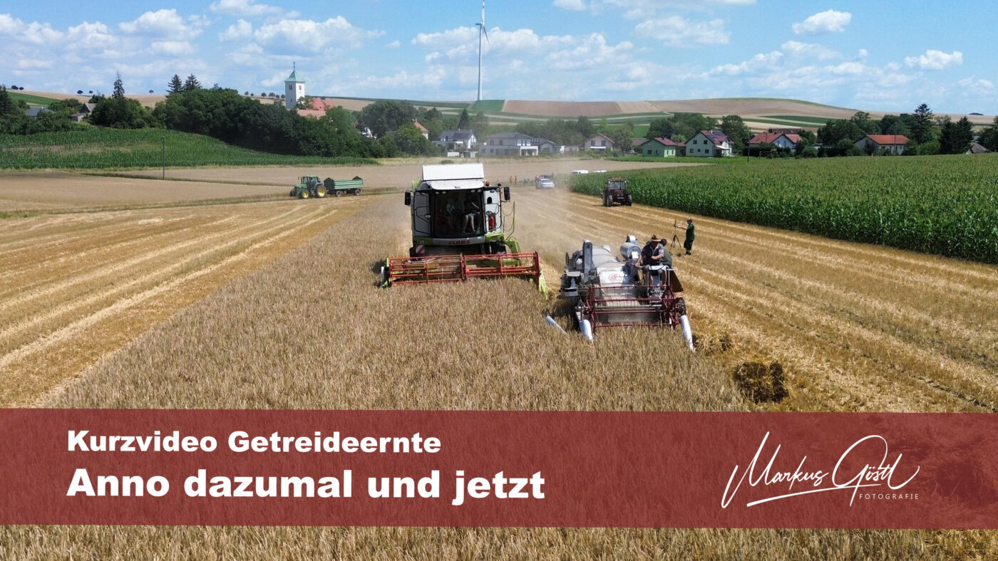 Mähdrusch anno dazumal und jetzt