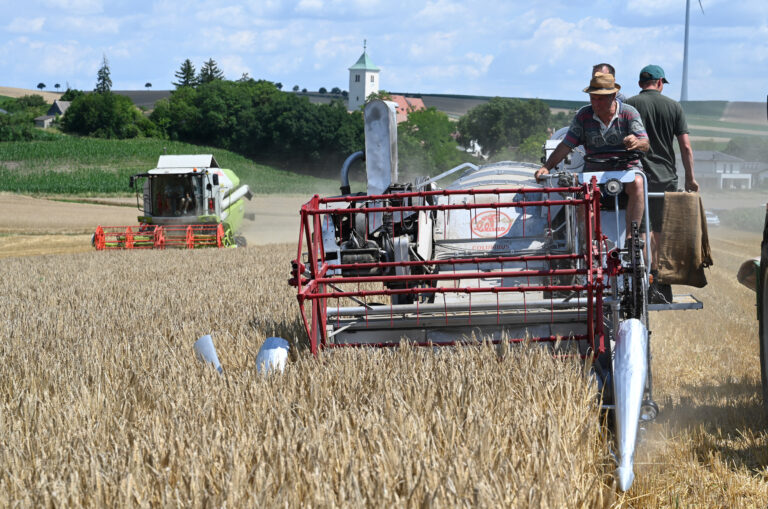 2025-07-25_Mähdrusch-annodazumal-jetzt