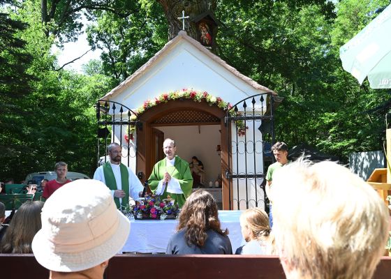 Weihbischof Stephan Turnovszky bei der Bildeichenkapelle